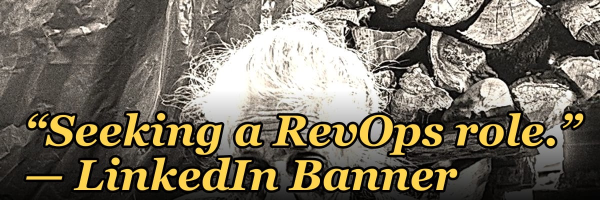 “Seeking a RevOps role.” — LinkedIn Banner