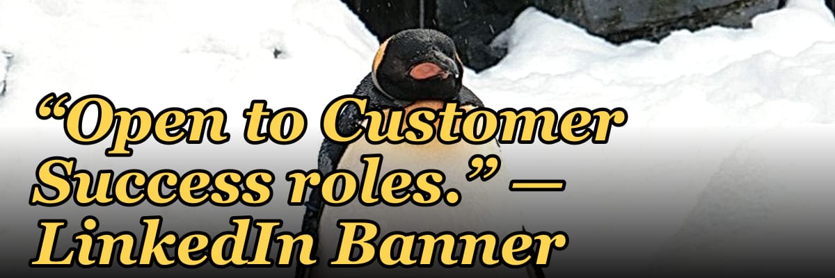 “Open to Customer Success roles.” — LinkedIn Banner