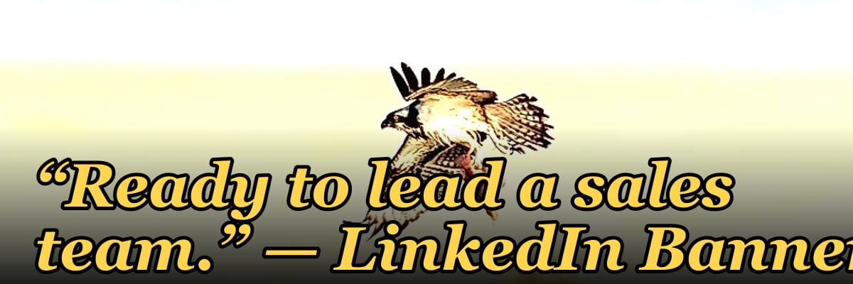 “Ready to lead a sales team.” — LinkedIn Banner