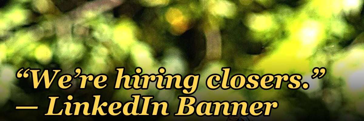 “We’re hiring closers.” — LinkedIn Banner