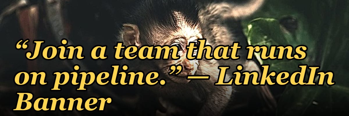 “Join a team that runs on pipeline.” — LinkedIn Banner