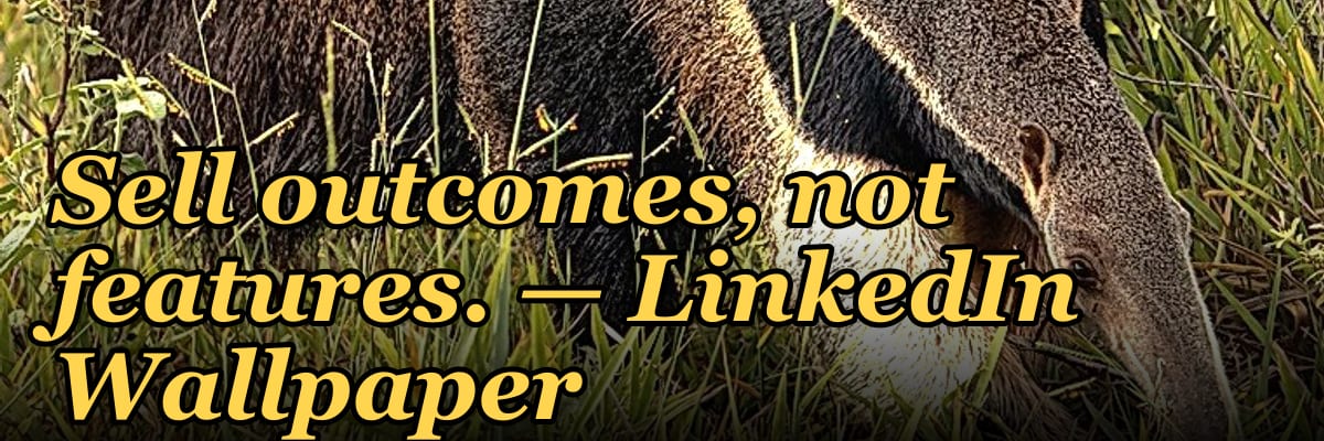 Sell outcomes, not features. — LinkedIn Wallpaper