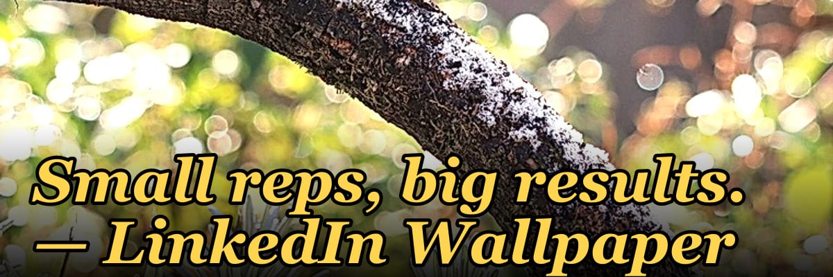 Small reps, big results. — LinkedIn Wallpaper