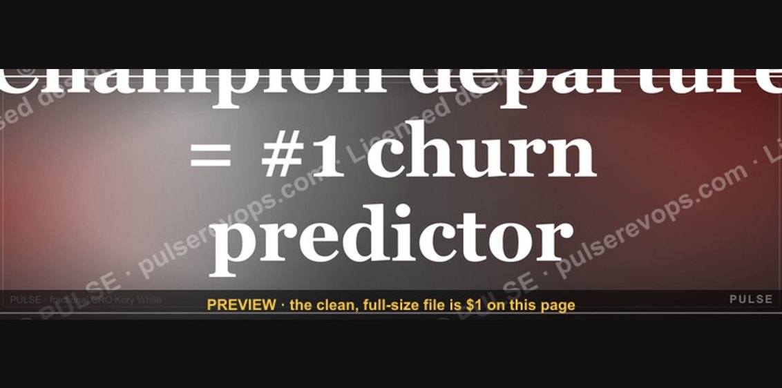 Champion departure = #1 churn predictor — RevOps Banner