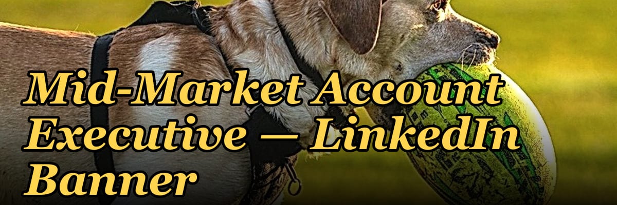 Mid-Market Account Executive — LinkedIn Banner