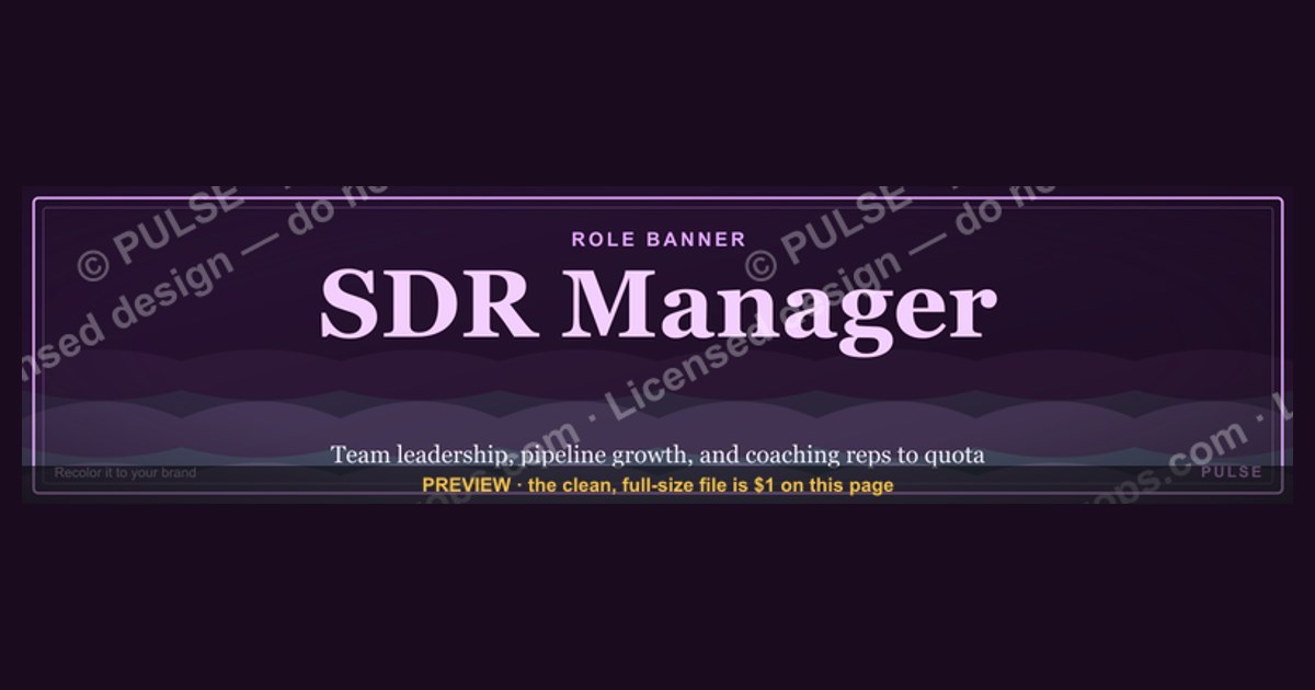 SDR Manager — LinkedIn Banner — figure 1