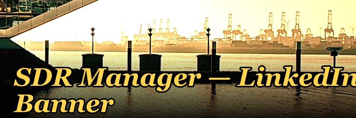 SDR Manager — LinkedIn Banner