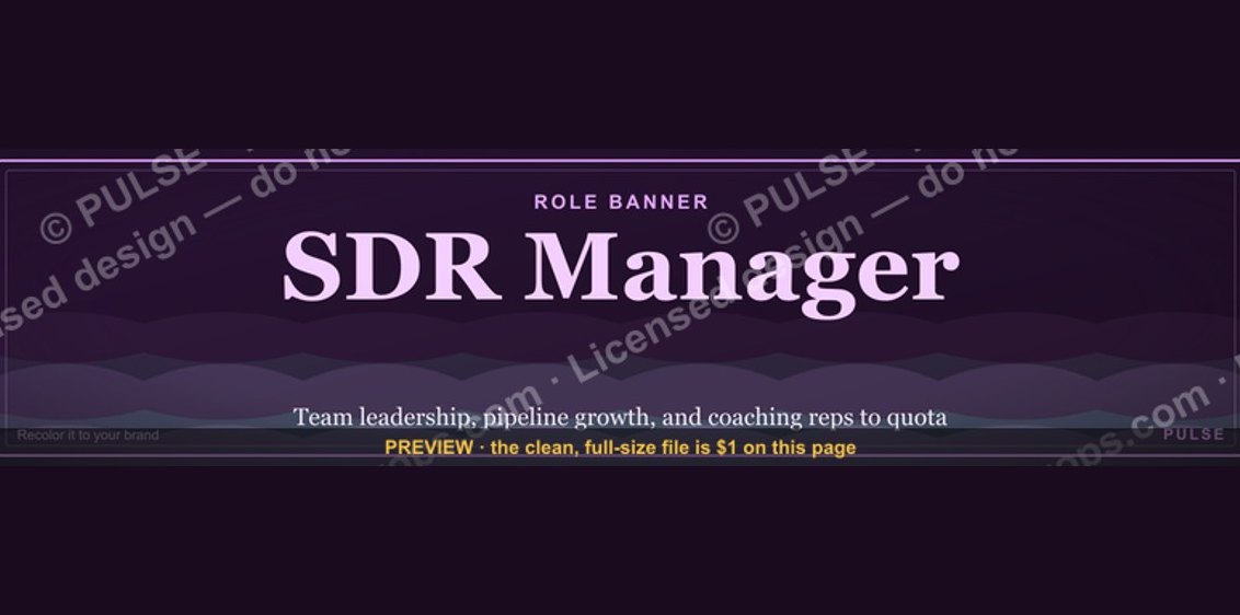 SDR Manager — LinkedIn Banner