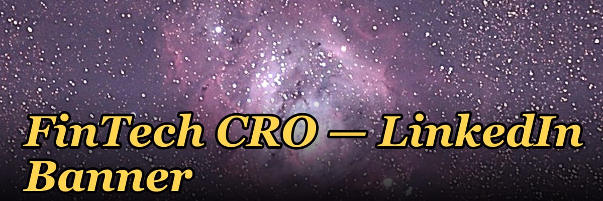 FinTech CRO — LinkedIn Banner