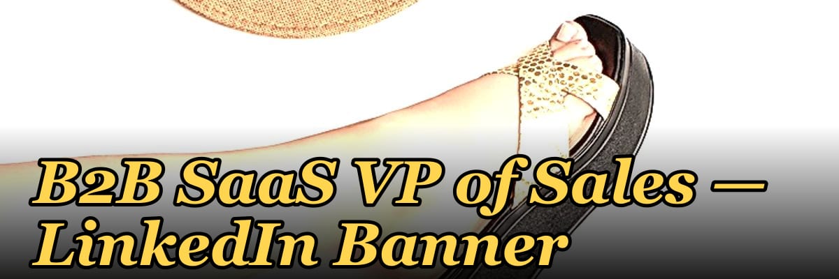 B2B SaaS VP of Sales — LinkedIn Banner