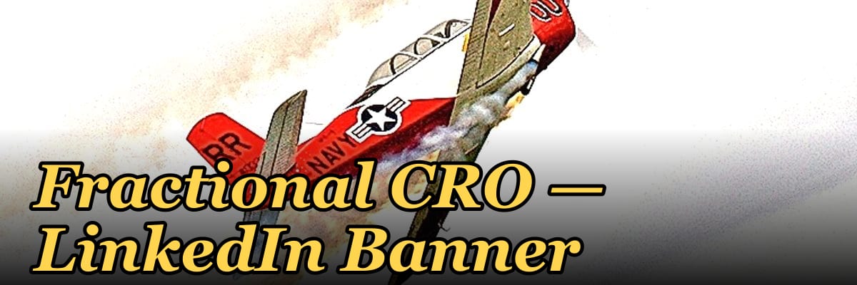 Fractional CRO — LinkedIn Banner