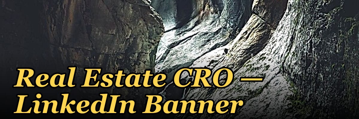 Real Estate CRO — LinkedIn Banner