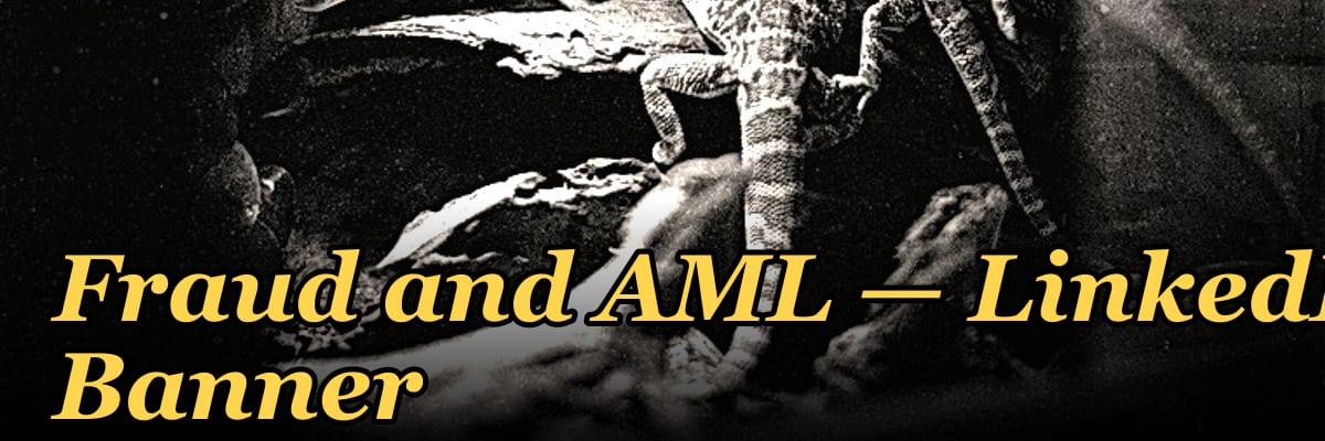 Fraud and AML — LinkedIn Banner