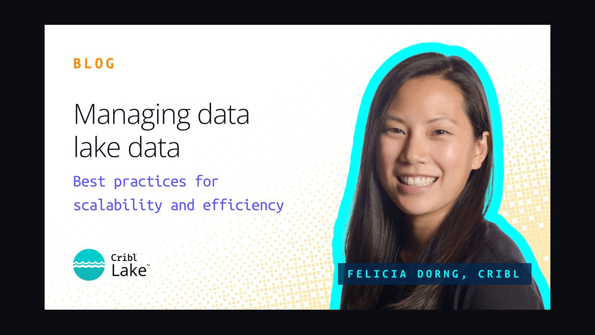 SIEM and Data Lake CRO — LinkedIn Banner — figure 3