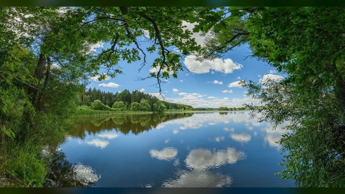 SIEM and Data Lake CRO — LinkedIn Banner