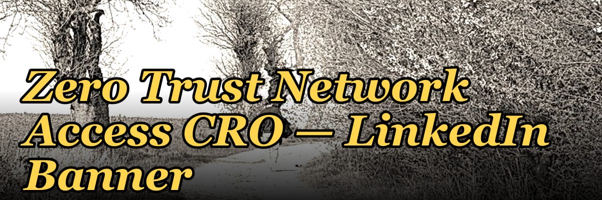 Zero Trust Network Access CRO — LinkedIn Banner