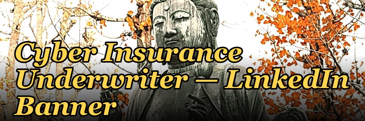 Cyber Insurance Underwriter — LinkedIn Banner