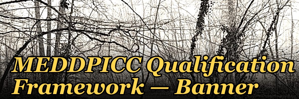 MEDDPICC Qualification Framework — Banner