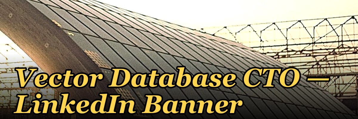 Vector Database CTO — LinkedIn Banner