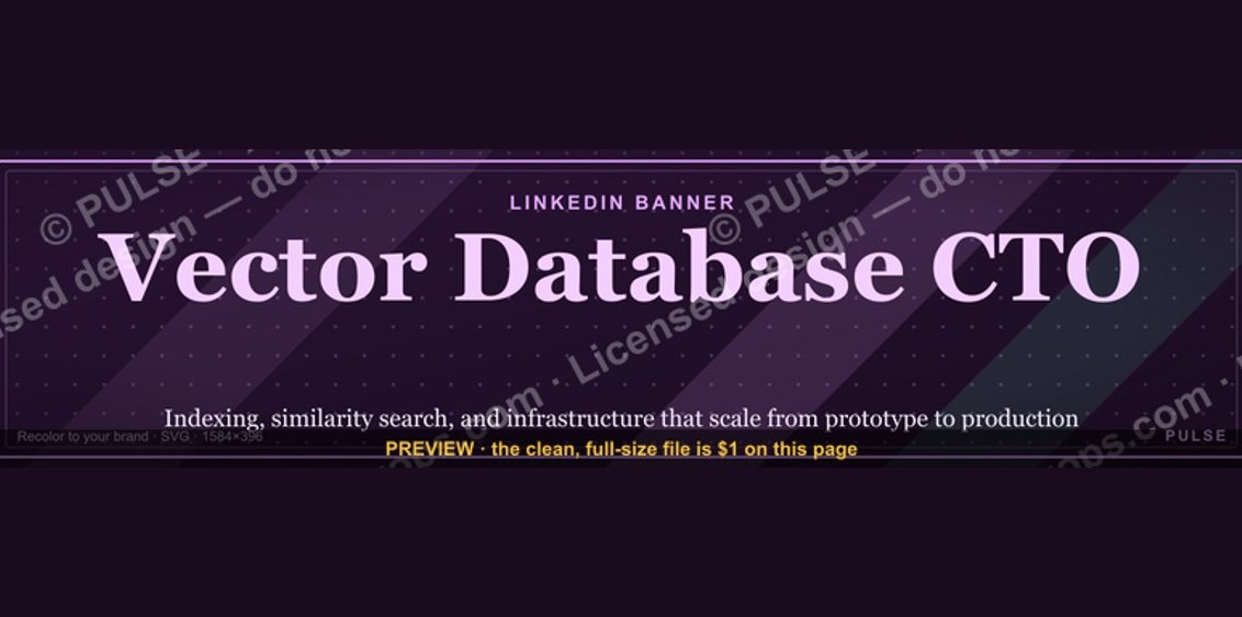 Vector Database CTO — LinkedIn Banner