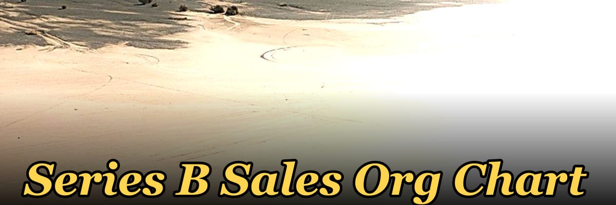 Series B Sales Org Chart