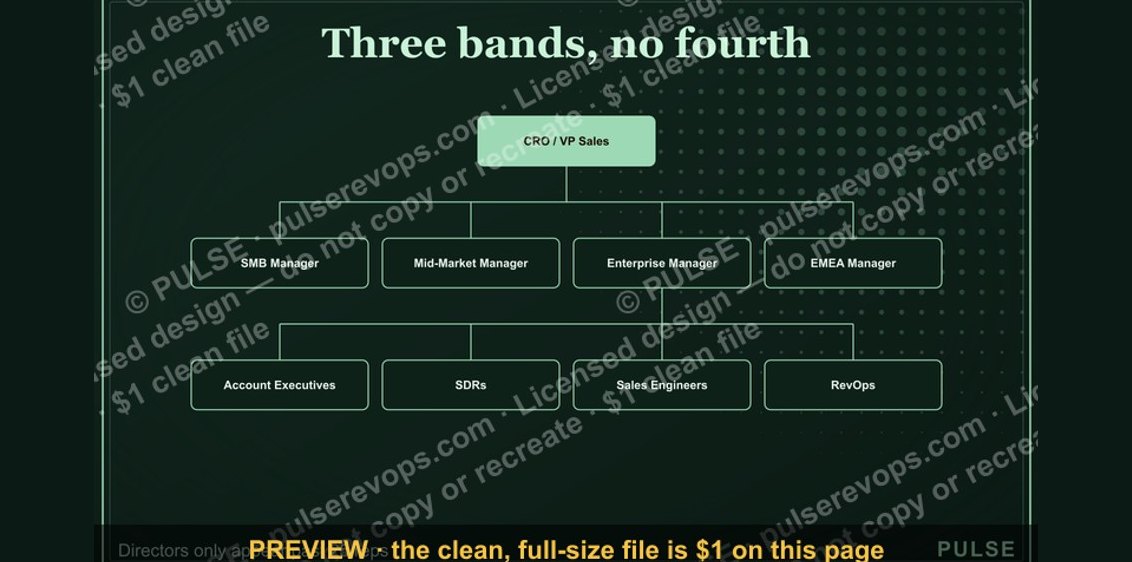Series B Sales Org Chart