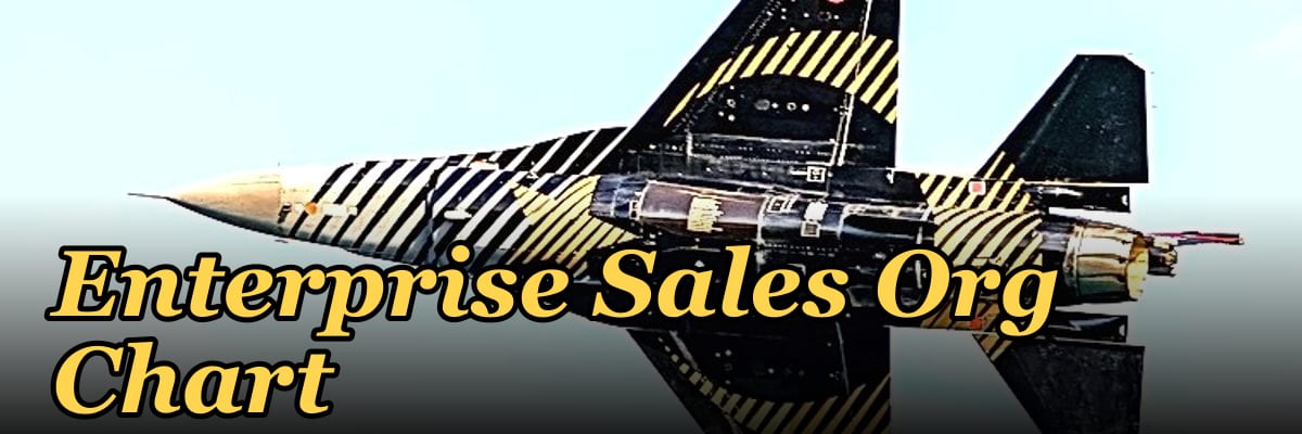 Enterprise Sales Org Chart
