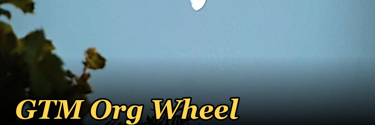 GTM Org Wheel