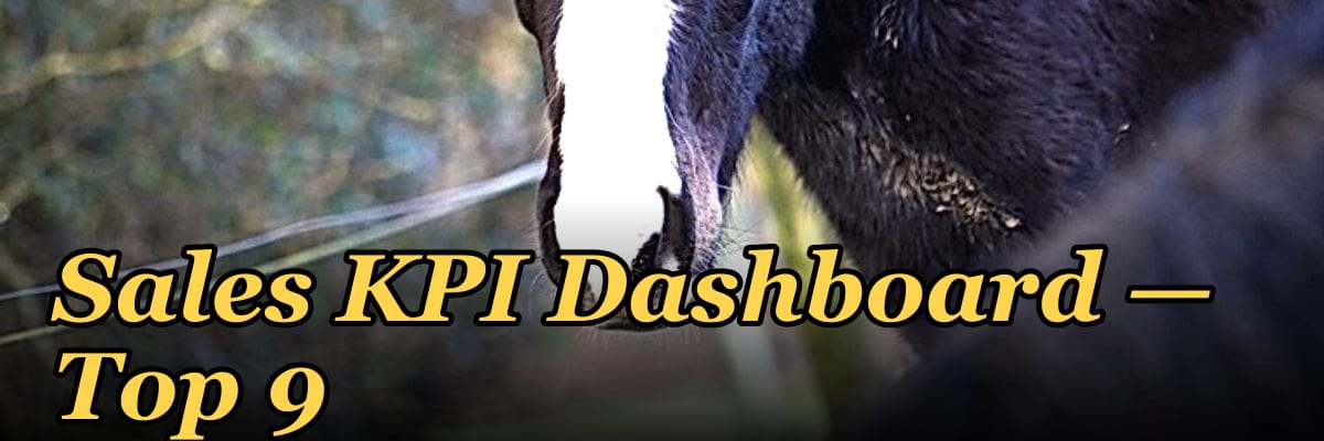 Sales KPI Dashboard — Top 9