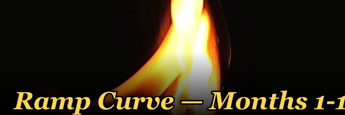 Ramp Curve — Months 1-12