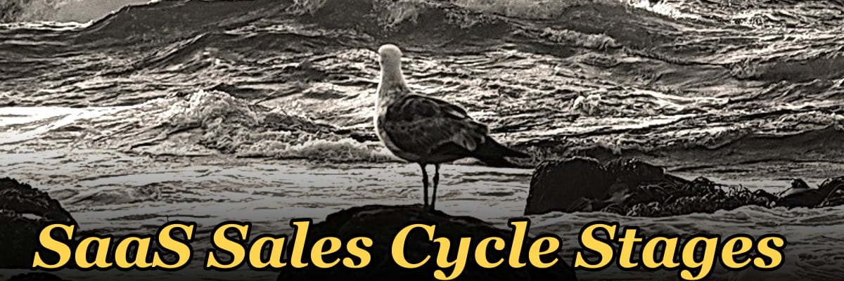 SaaS Sales Cycle Stages