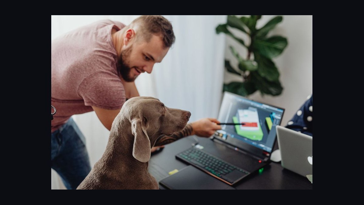 What criteria should I use to choose a graphics design tool for sales presentations in 2027 — figure 9