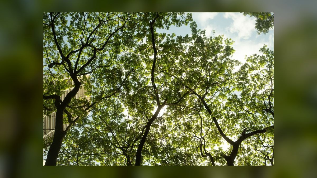 How do you build a carbon accounting and ESG reporting software go-to-market motion in 2027 — figure 8