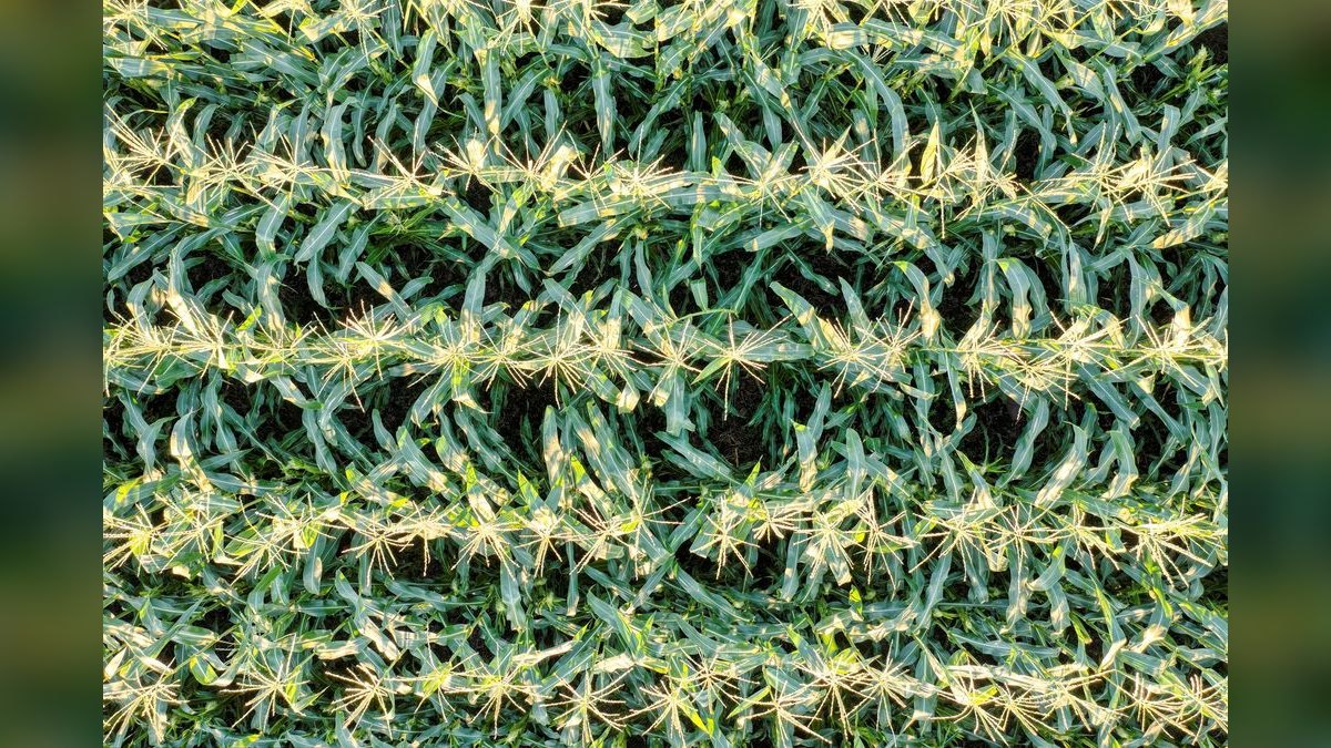 How do you build an AgTech crop management (Climate FieldView / Granular) go-to-market motion in 2027 — figure 4