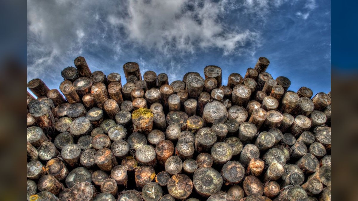 How do you build a forestry management software go-to-market motion in 2027 — figure 1