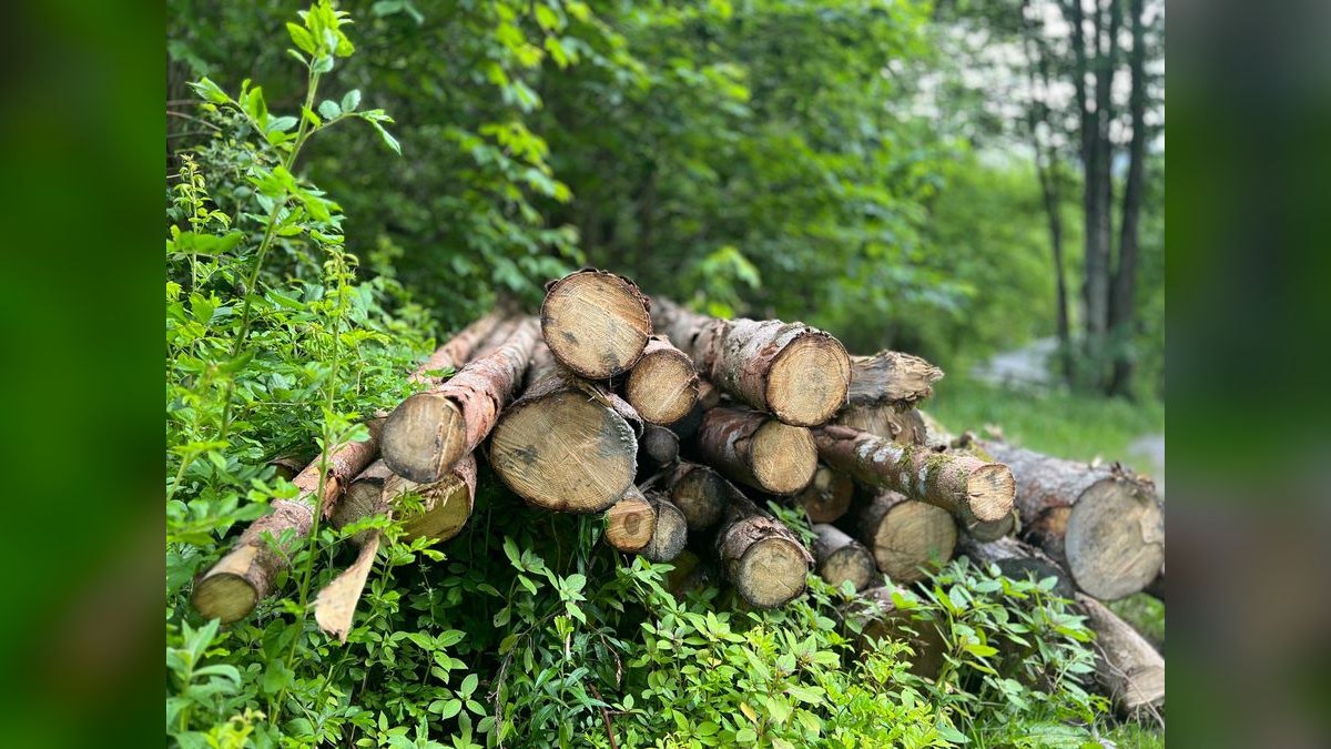 How do you build a forestry management software go-to-market motion in 2027 — figure 2