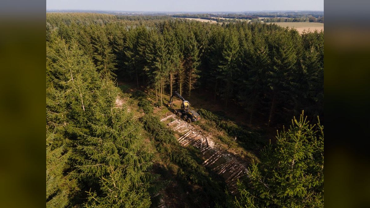 How do you build a forestry management software go-to-market motion in 2027 — figure 3