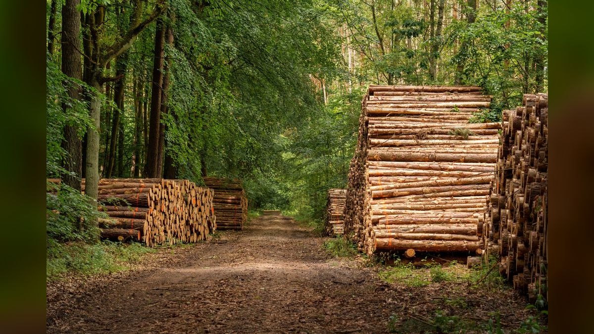 How do you build a forestry management software go-to-market motion in 2027 — figure 5