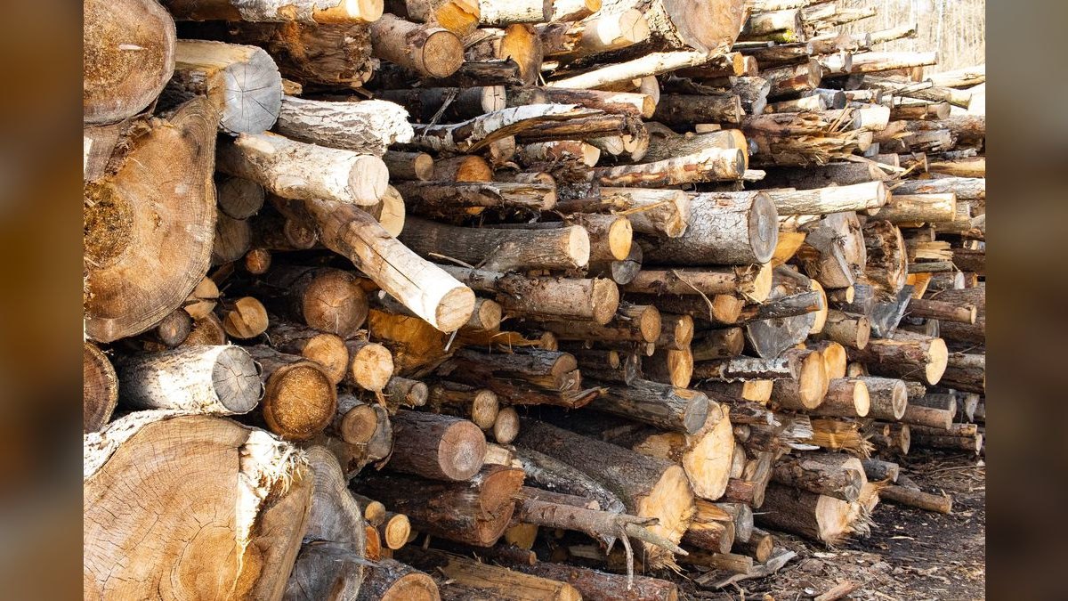 How do you build a forestry management software go-to-market motion in 2027?