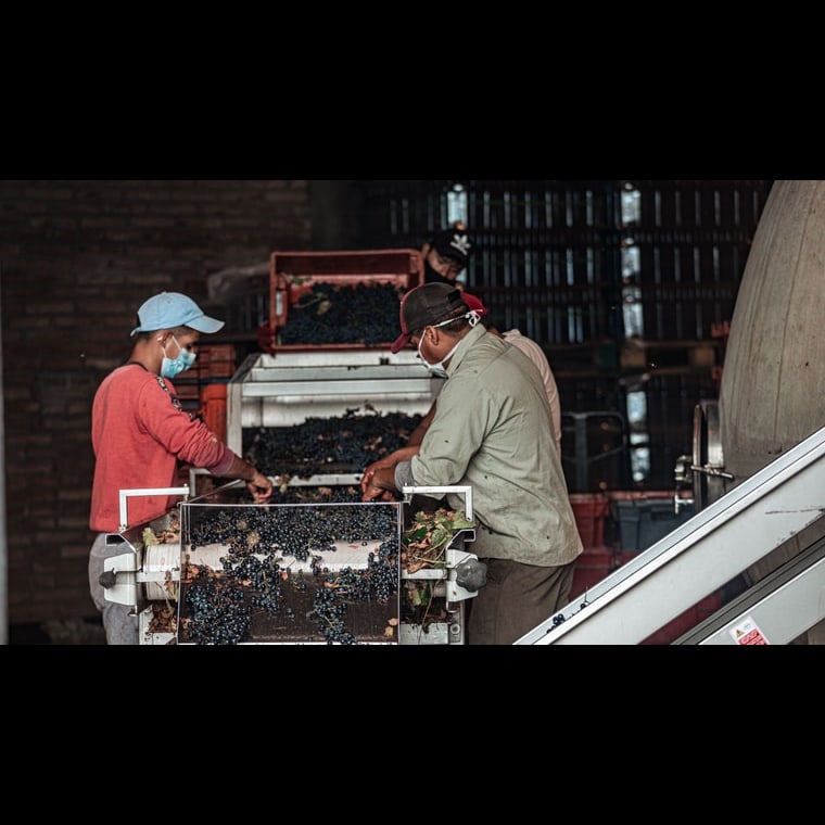 How do you build the GTM playbook for a winery operator in 2027?