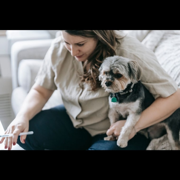How do you build the GTM playbook for a pet sitting and dog walking marketplace in 2027?