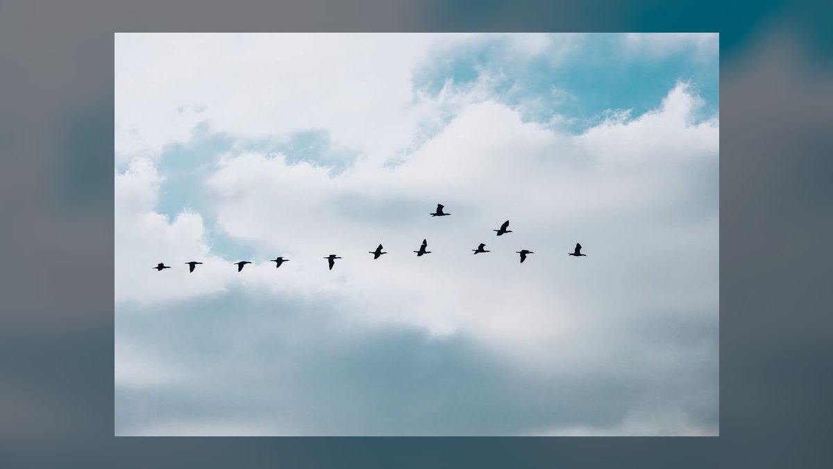 Cloud Migration Services GTM Playbook 2027 — AWS MAP + Azure Migrate + Google RaMP and the .8B Slalom Operator Path — figure 10