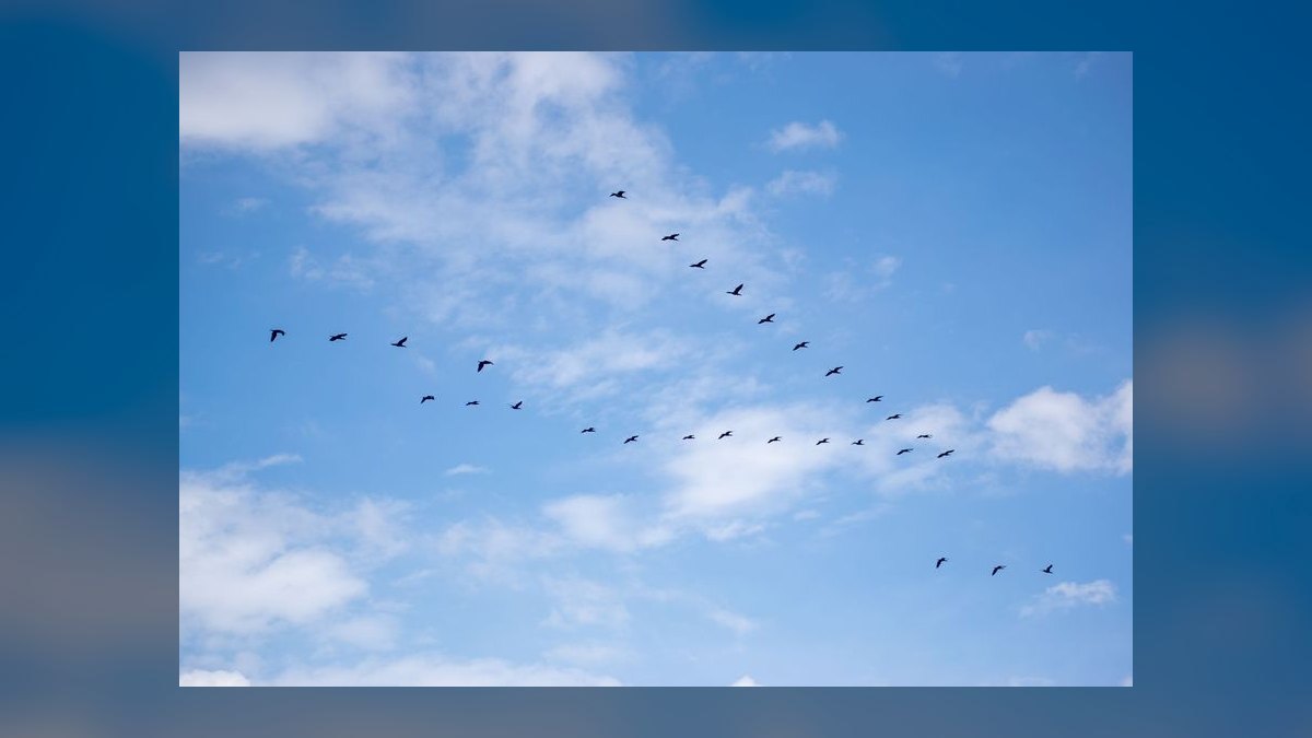 Cloud Migration Services GTM Playbook 2027 — AWS MAP + Azure Migrate + Google RaMP and the .8B Slalom Operator Path — figure 7