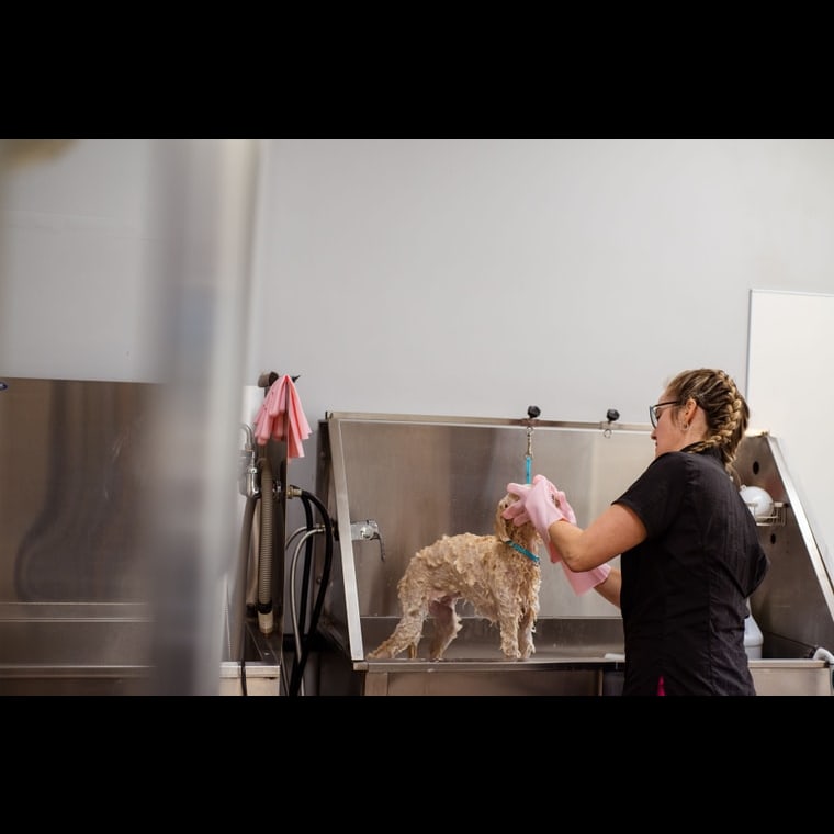 GTM Playbook for Pet Grooming Services in 2027