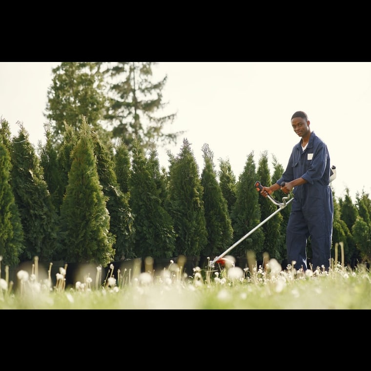 GTM Playbook for Tree Services in 2027