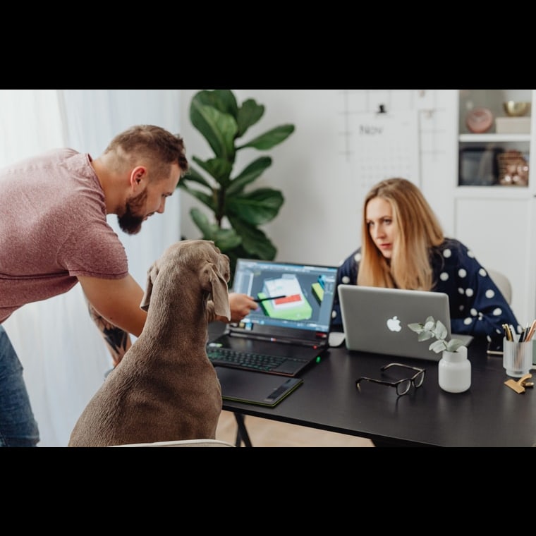 GTM Playbook for Dog Walking and Pet Sitting in 2027