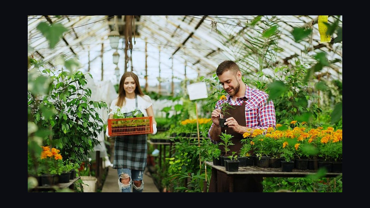 GTM Playbook for Garden Centers and Nurseries in 2027