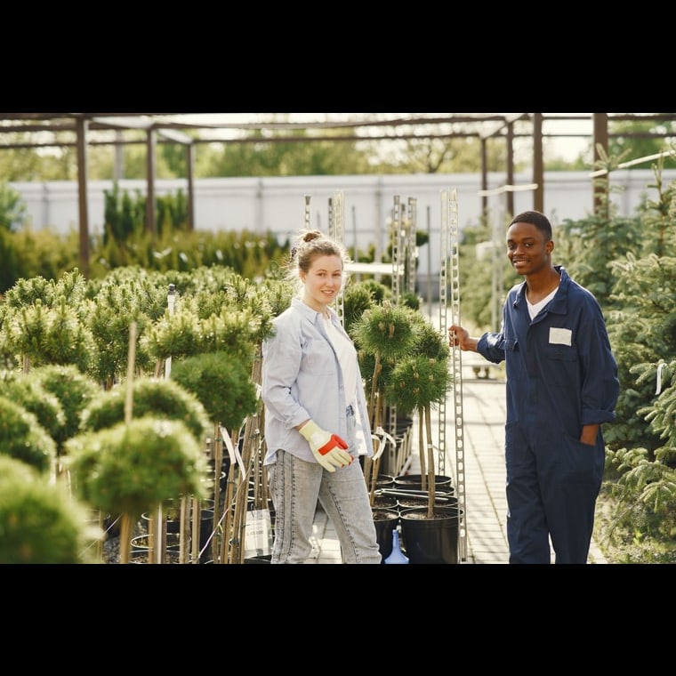 GTM Playbook for Garden Centers and Nurseries in 2027