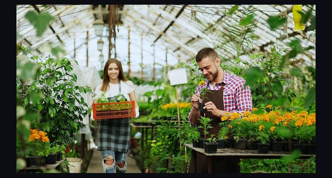 GTM Playbook for Garden Centers and Nurseries in 2027