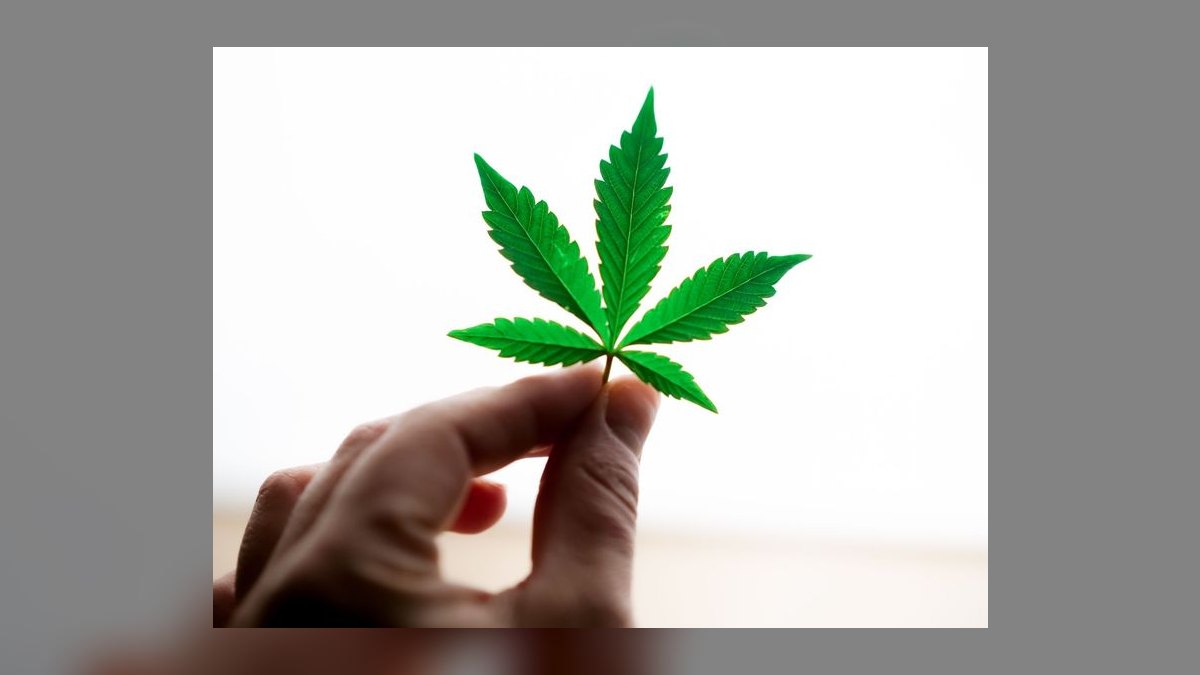 What is the go-to-market playbook for cannabis dispensaries in 2027 — figure 10